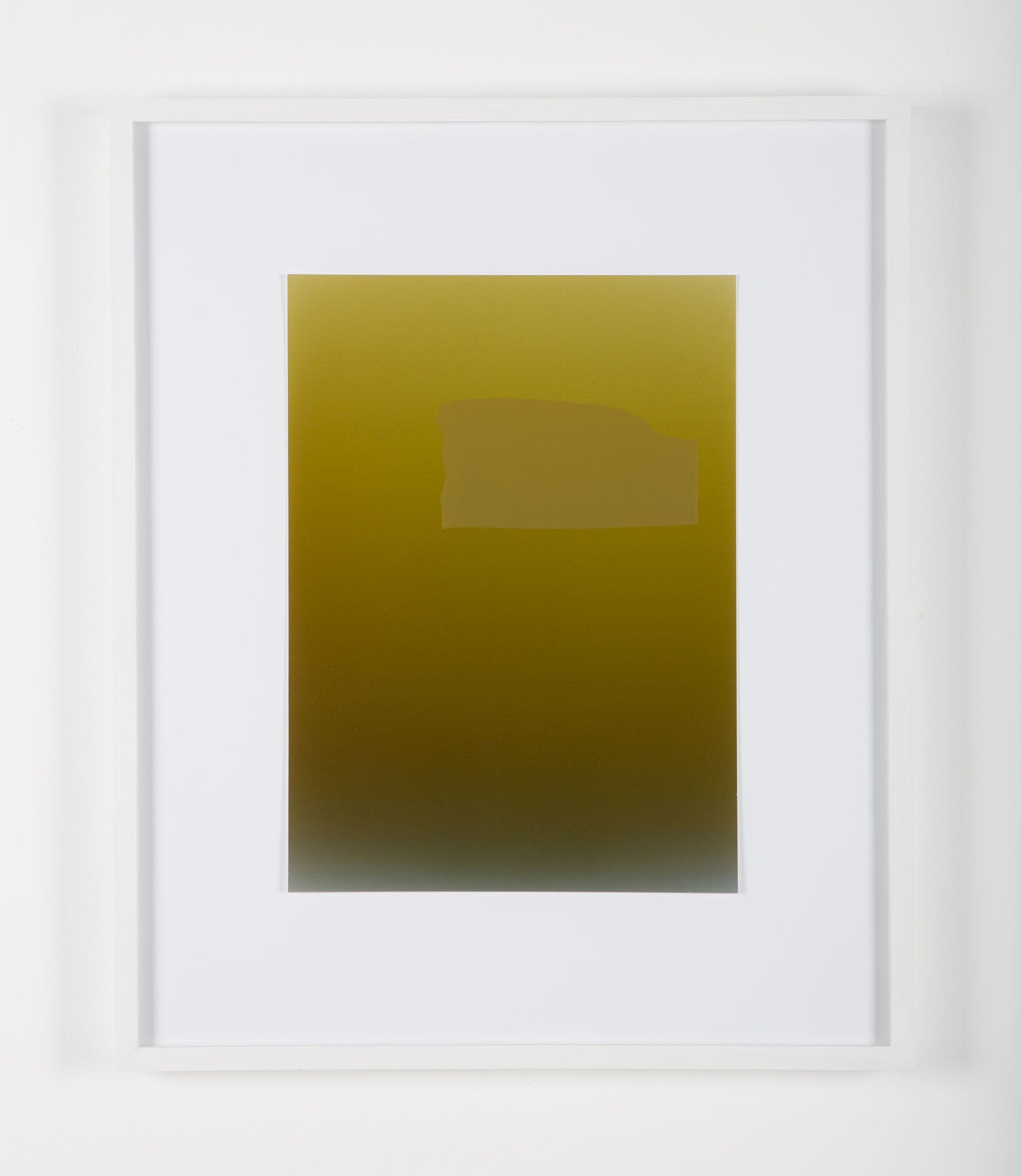 Pieter VERMEERSCH - Untitled (C print et sérigraphie khaki)