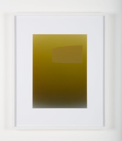 Pieter VERMEERSCH - Untitled (C print et sérigraphie khaki)