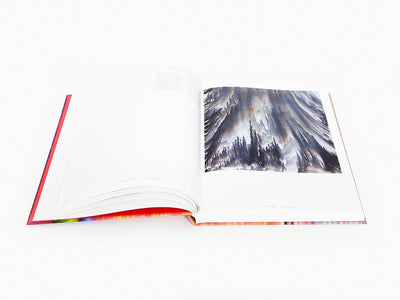 Bernard Frize - Sans repentir (Catalogue Pompidou)