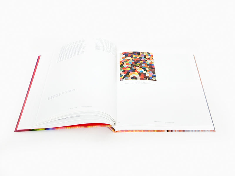 Bernard Frize - Sans repentir (Catalogue Pompidou)