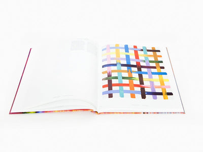 Bernard Frize - Sans repentir (Catalogue Pompidou)