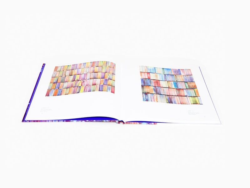 Bernard Frize - Catalogue Lund humphries