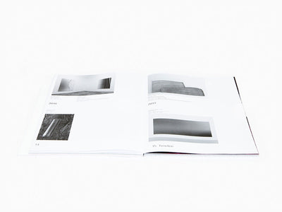 Pieter Vermeersch - Variations - Catalogue Ludion