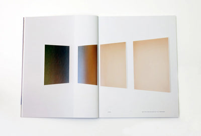 Pieter Vermeersch - Galerie Perrotin