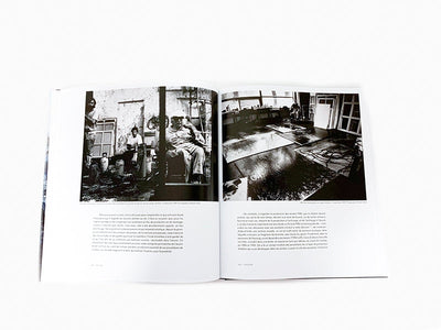 Pierre Wat - Hans Hartung La peinture pour memoire