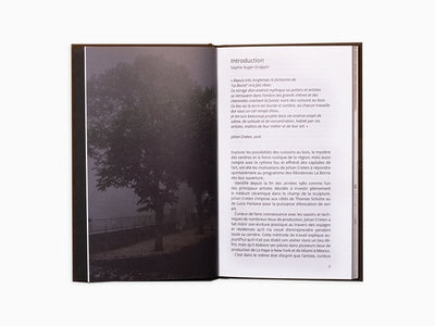 Johan Creten - Miroir parlant