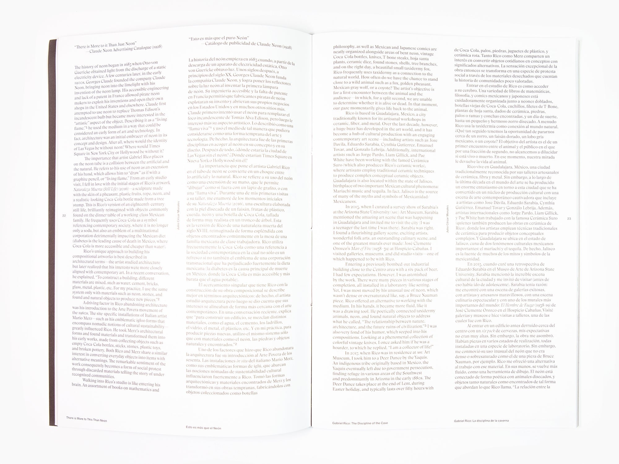 Gabriel Rico - The Discipline of the Cave