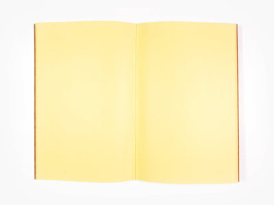 Izumi Kato - Carnet brun (Figure)