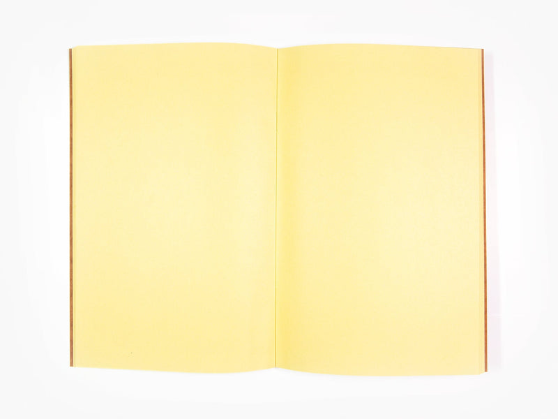 Izumi Kato - Carnet brun (Figure)