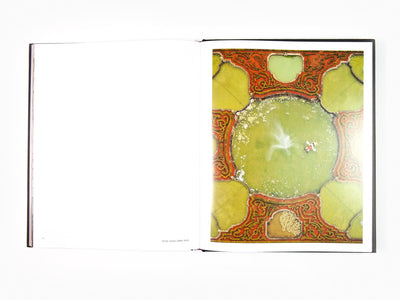 Maurizio Cattelan - Victory is not an Option