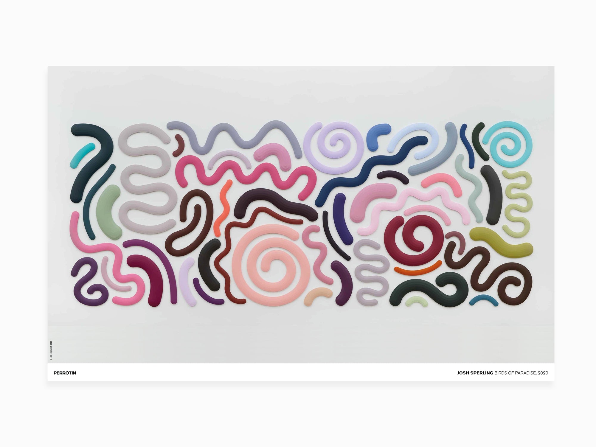 Josh Sperling - Bird of paradise, 2020 (poster standard)