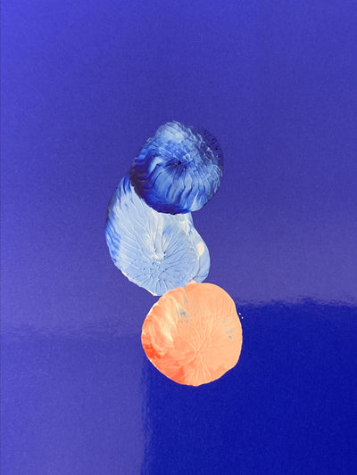 Pieter Vermeersch - Variations (édition de tête) - num. /100 et signé