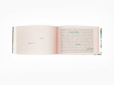 Sophie Calle - Sans Lui (edition de tête)