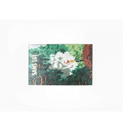 Sophie Calle - Sans Lui