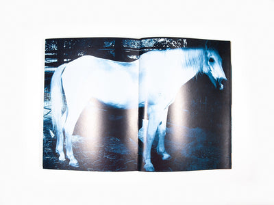 Permanent Food n°14 (lasso)