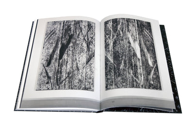 Gregor Hildebrandt - Saarlandmuseum - Sterne Streifen die Fluten