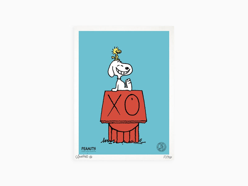 Mr. André - Snoopy on Red House (blue)