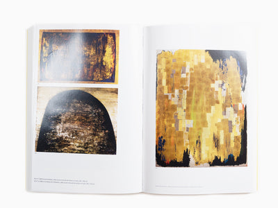 Thomas Schlesser - Anna-Eva Bergman, Vies Lumineuses