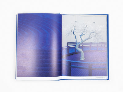 Daniel Arsham - Moonraker Time Dilation (SIGNÉ)