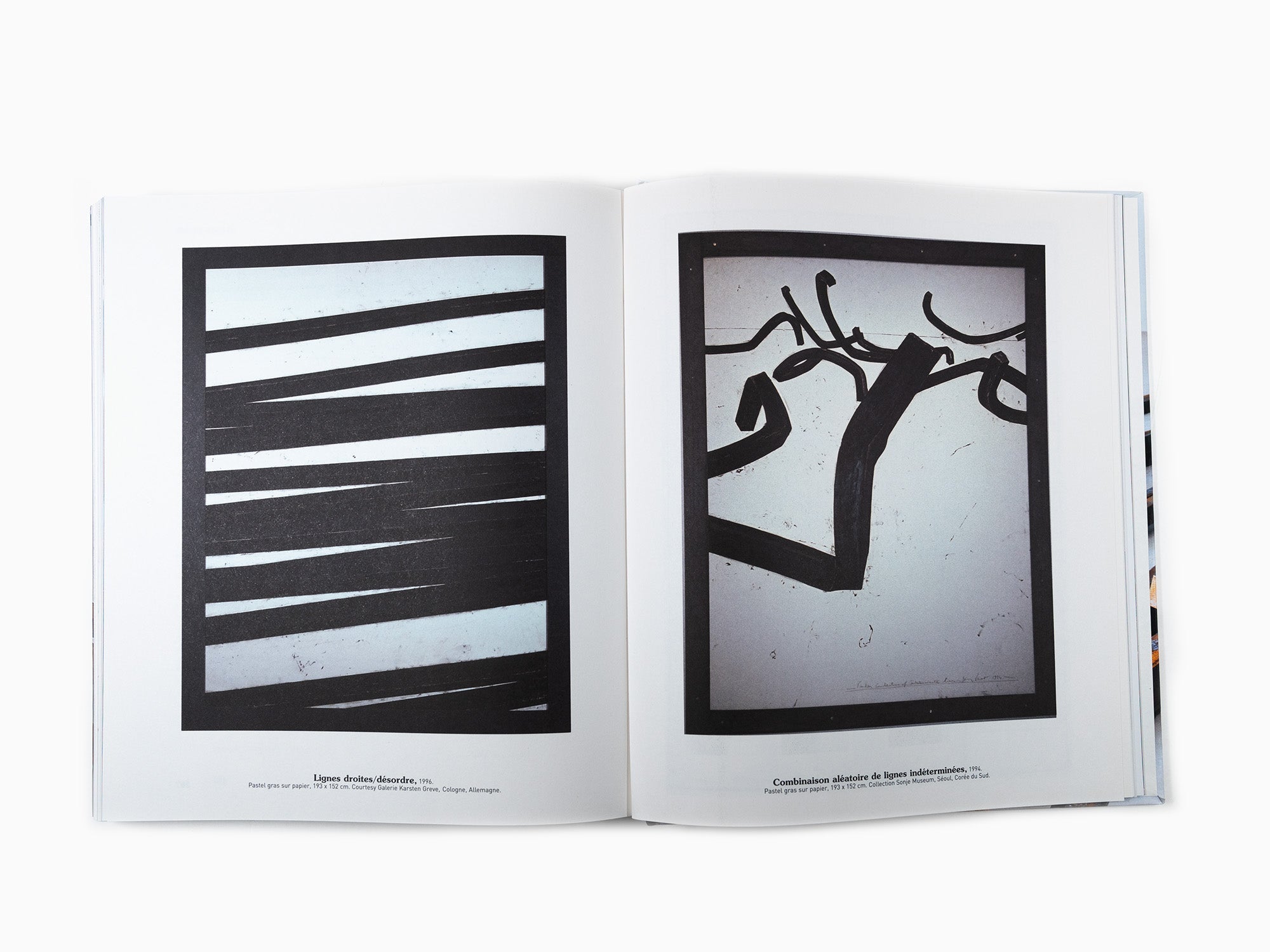 Bernar Venet - Flammarion Monograph
