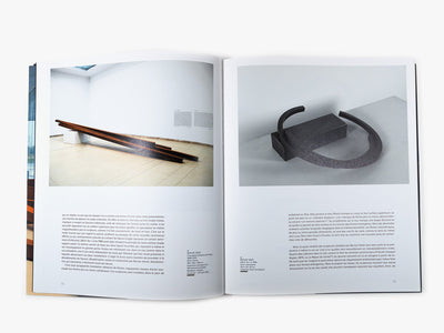 Bernar Venet - L'hypothèse de la gravité