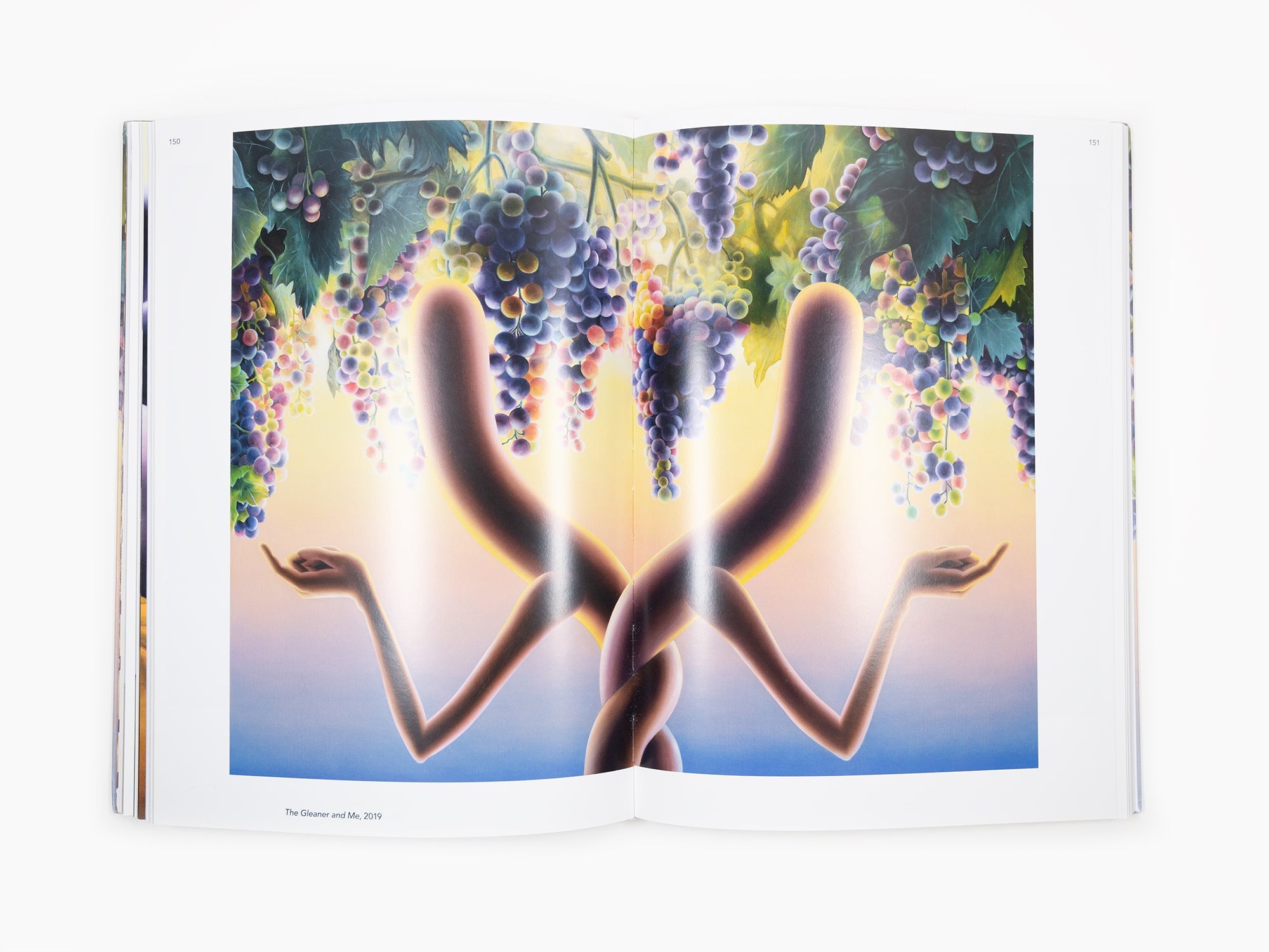 Emily Mae Smith - Monograph