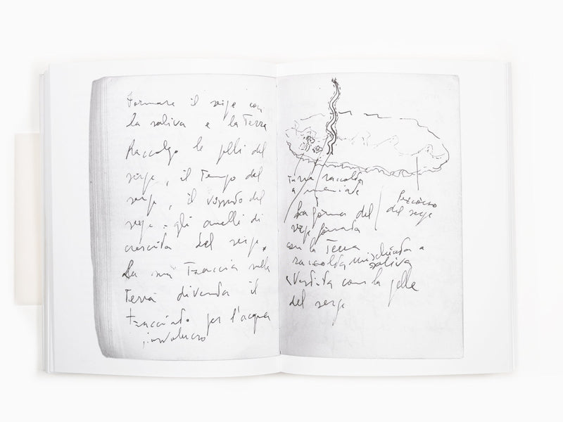 Giuseppe Penone - Respirer l'ombre