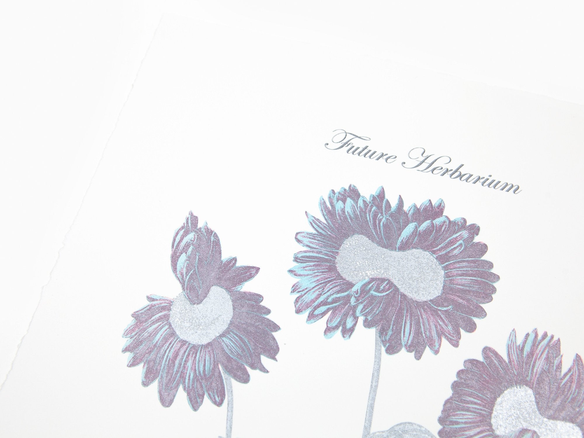Laurent Grasso - Future Herbarium, Gerbera (blue & silver)