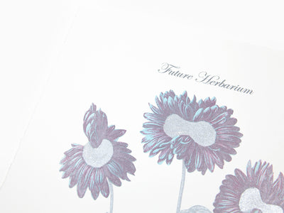 Laurent Grasso - Future Herbarium, Gerbera (blue & silver)
