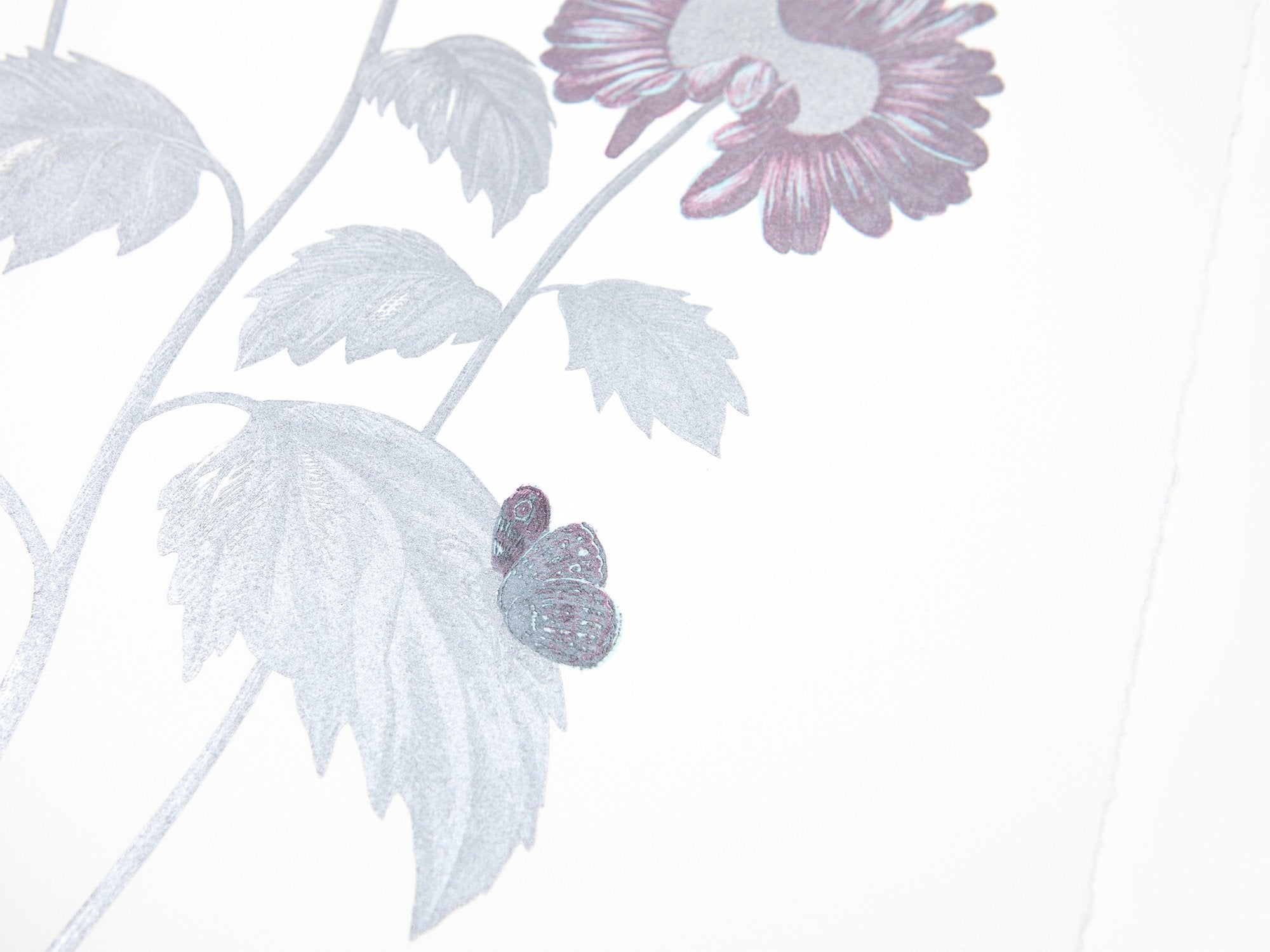 Laurent Grasso - Future Herbarium, Gerbera (blue & silver)