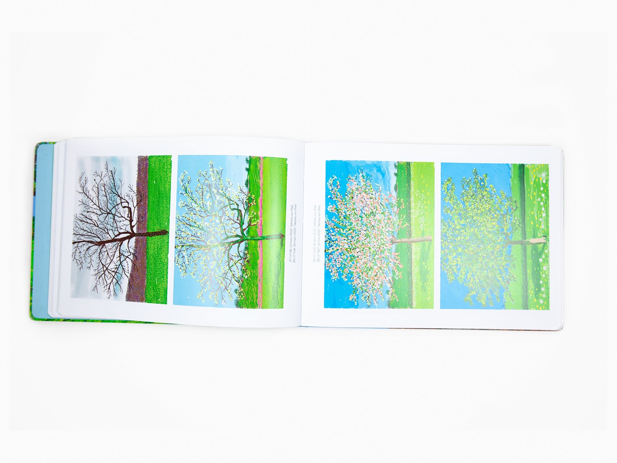 David Hockney - L'arrivée du printemps, Normandie, 2020