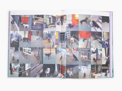 Ivan Argote - Let's write / catalogue GEP