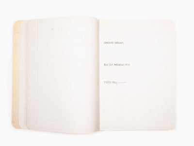 Jean-Michel Basquiat - The Notebooks