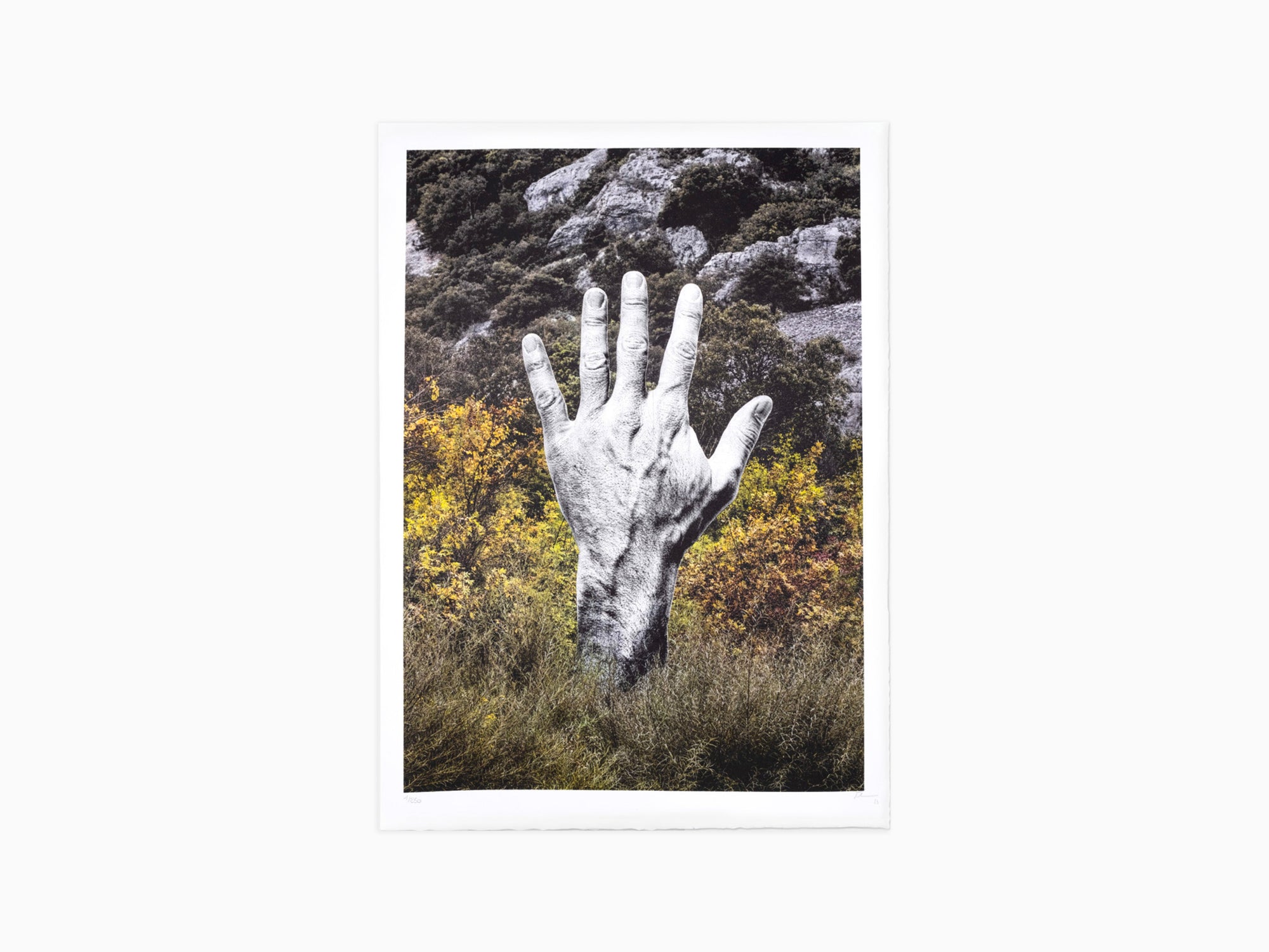 JR - Empreinte, Chauvet, France, 2023