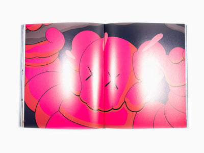 KAWS - New Fiction