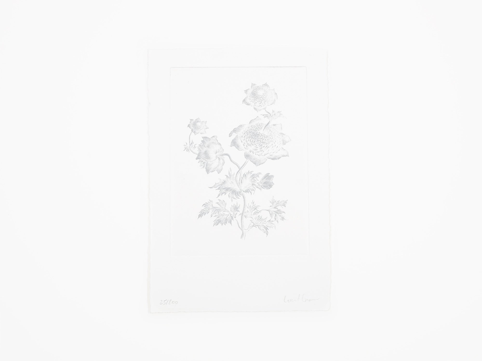 Laurent Grasso - Future Herbarium (white)