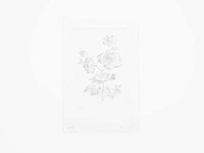 Laurent Grasso - Future Herbarium (white)