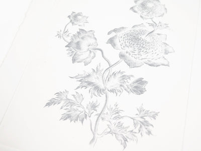 Laurent Grasso - Future Herbarium (white)