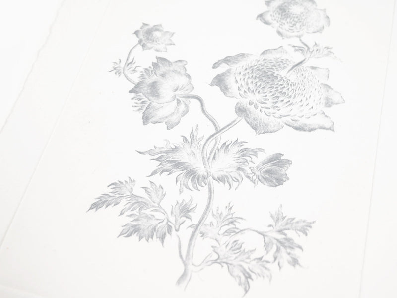 Laurent Grasso - Future Herbarium (white)