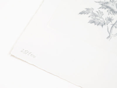 Laurent Grasso - Future Herbarium (white)