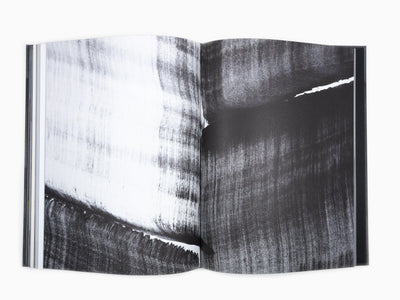 Lee Bae - Perrotin monograph