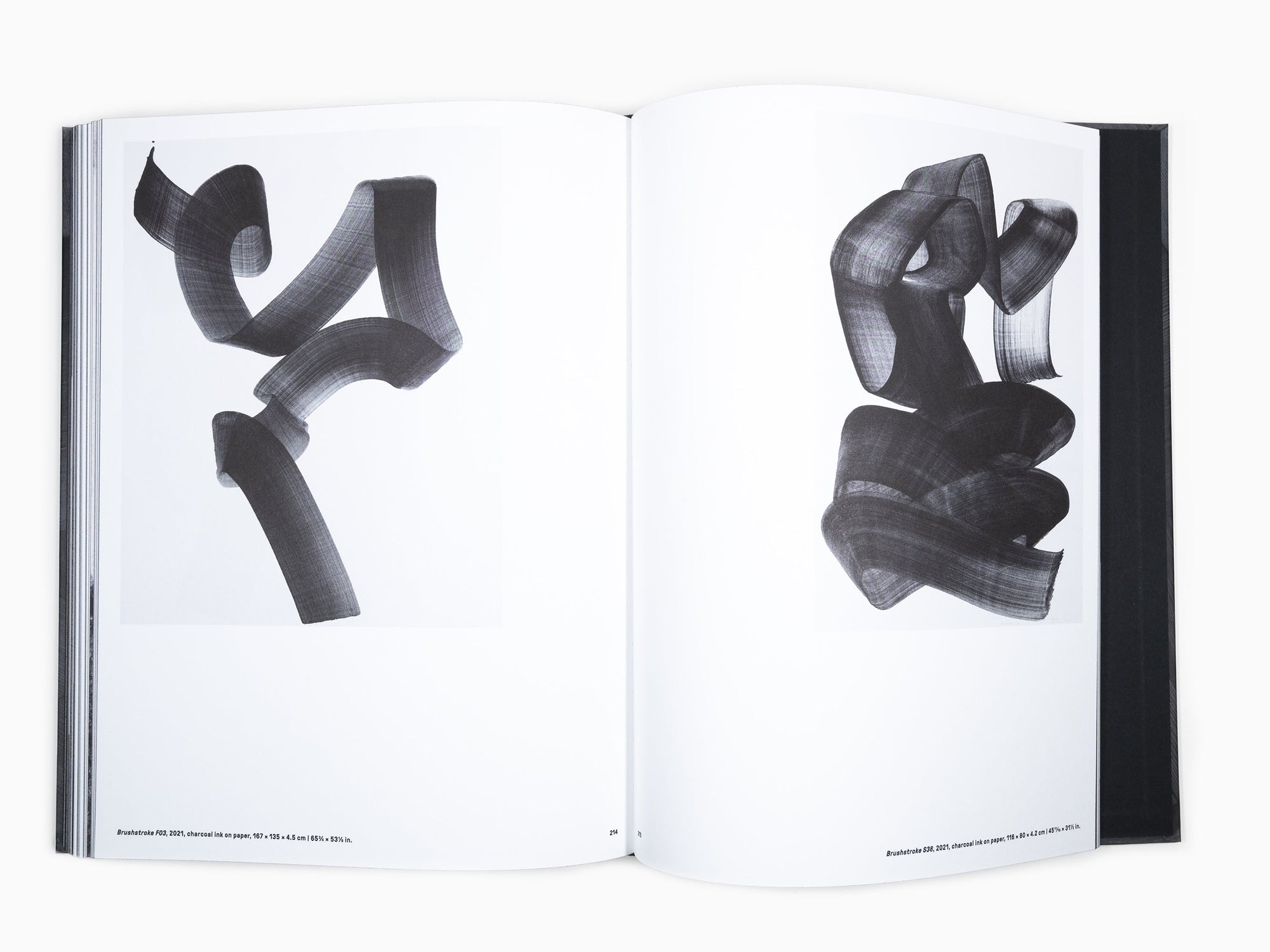 Lee Bae - Perrotin monograph