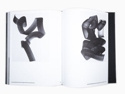 Lee Bae - Perrotin monograph