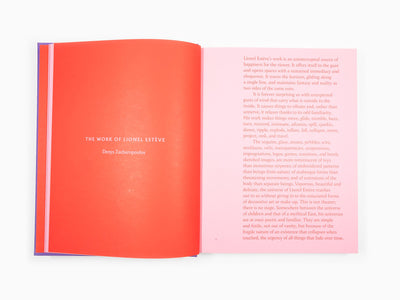 Lionel Estève - Lionel Estève Monograph 2022