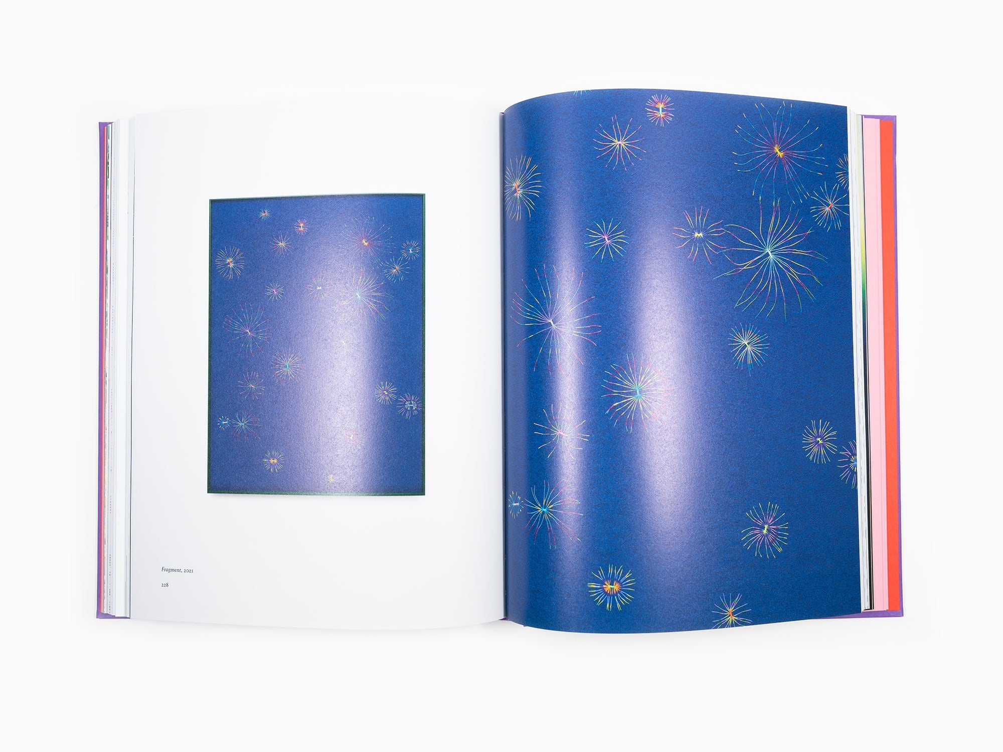 Lionel Estève - Lionel Estève Monograph 2022