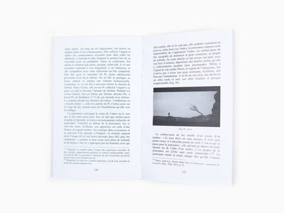 Natalia Laranjinha - Lars Von Trier. Pathos et surface