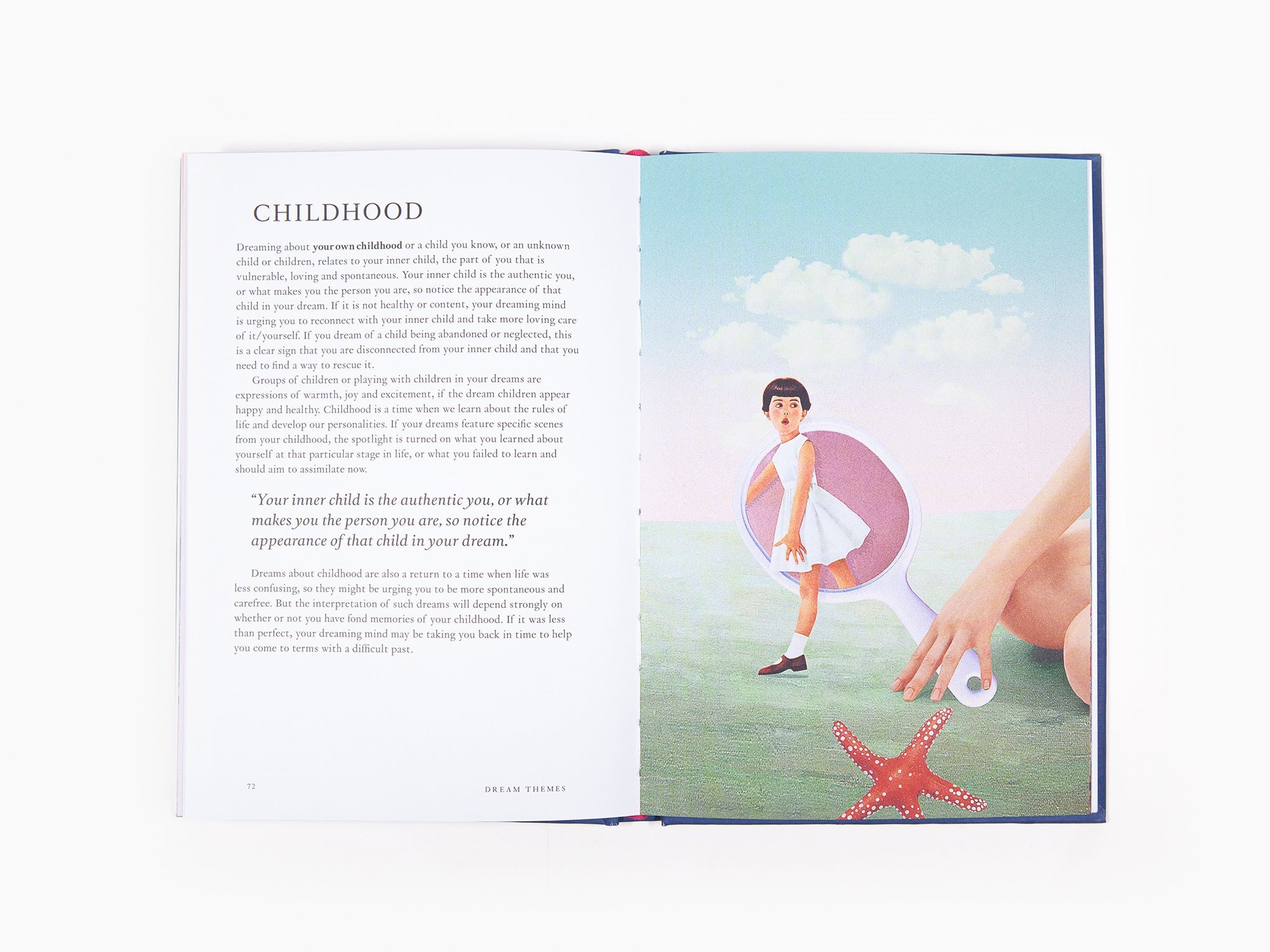 Night Vision - A Field Guide to Your Dreams