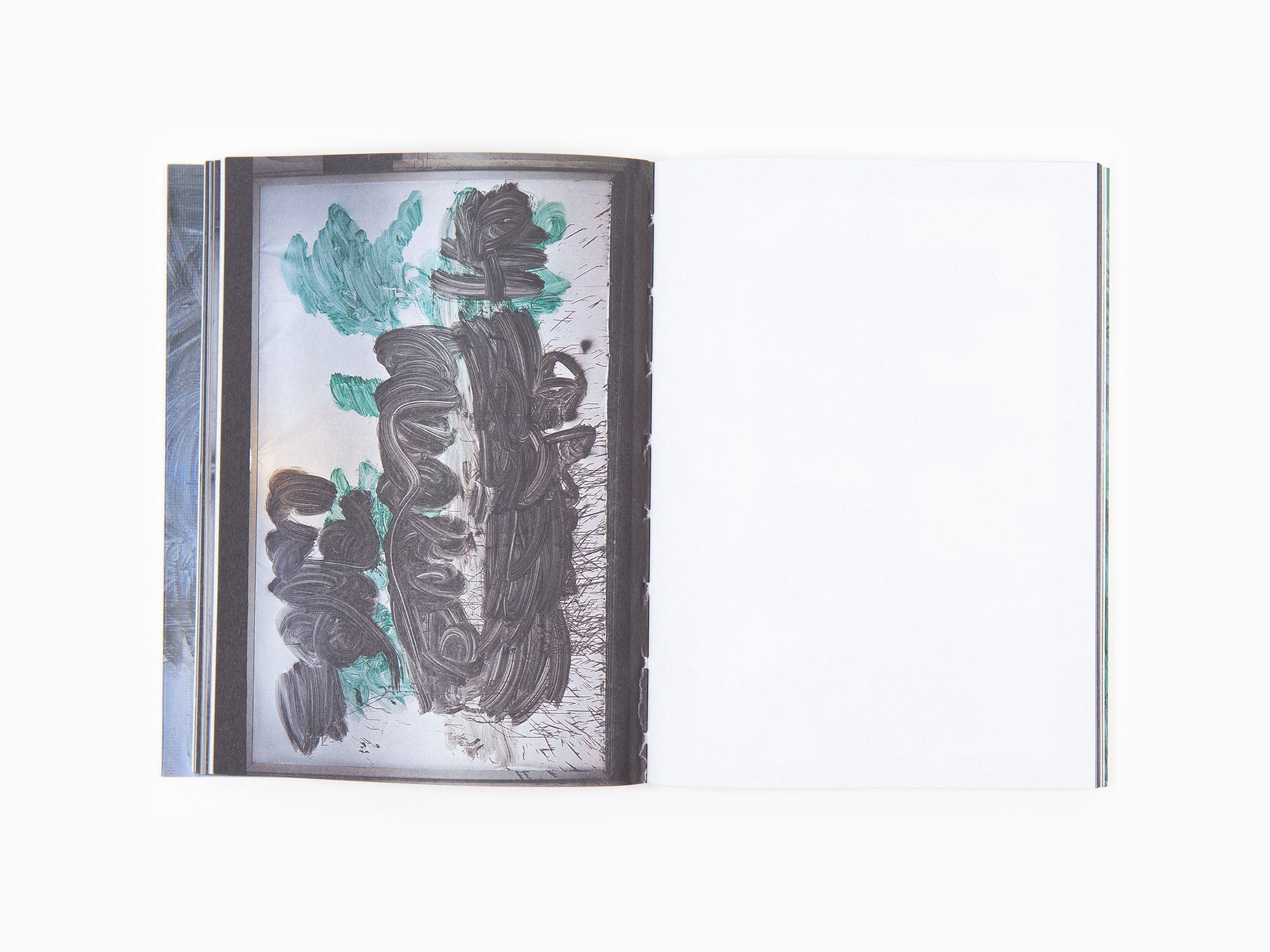 Hans Leo Maes - Nothing to see here