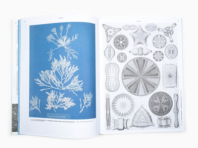 On the necessity of gardening - An art of botany and cultivation