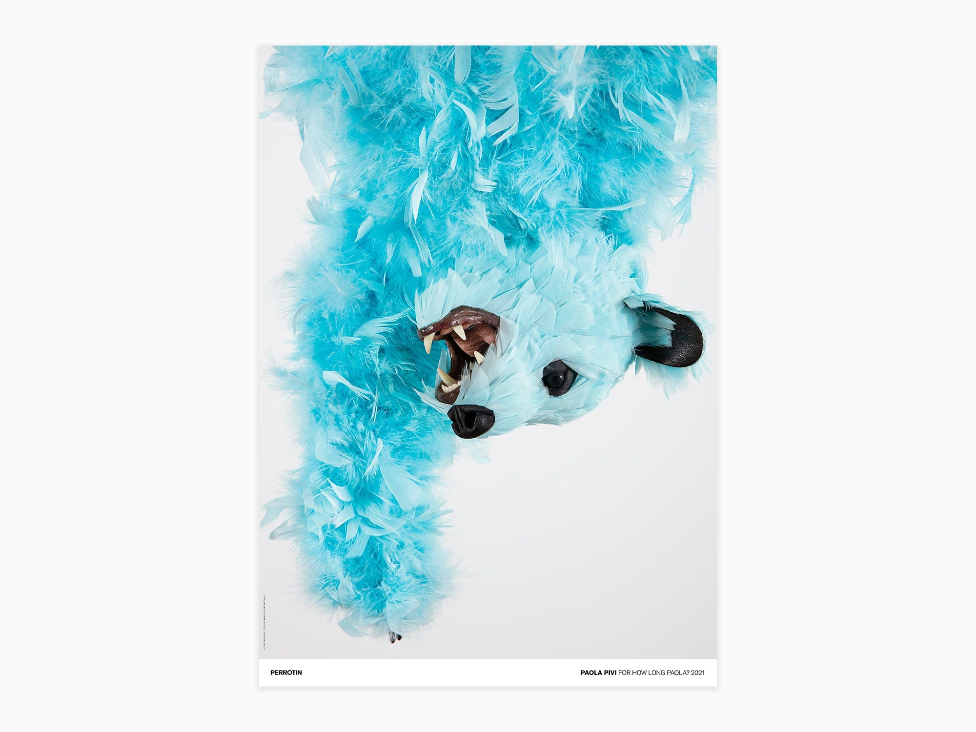 Paola Pivi - For How Long Paola ?, 2021 (signed poster)